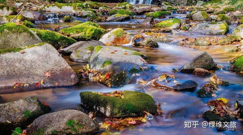 新時(shí)代,景區(qū)發(fā)展創(chuàng)新方向在哪里