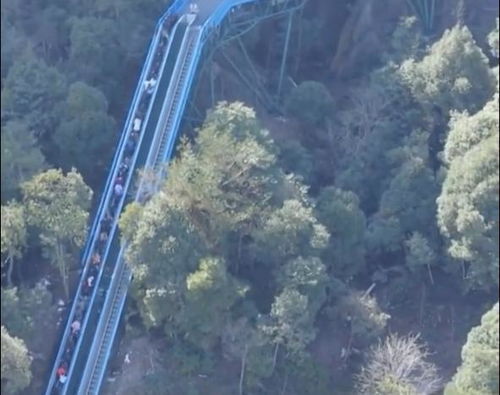 浙江臺州神仙居景區(qū),現(xiàn)在爬山都用電梯了,景區(qū)電梯直達山頂
