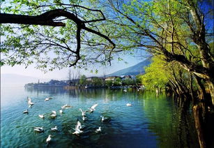 引以為鑒，刀刃向內——邛瀘景區質量提升會后管理優化紀實