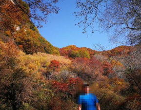 2019平山駝梁風(fēng)景區(qū)游玩全攻略 門(mén)票價(jià)格、游覽路線、地址與服務(wù)詳解